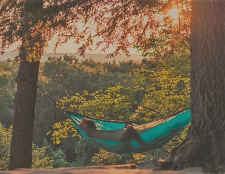 7 Things You Need to Know About Hammocking